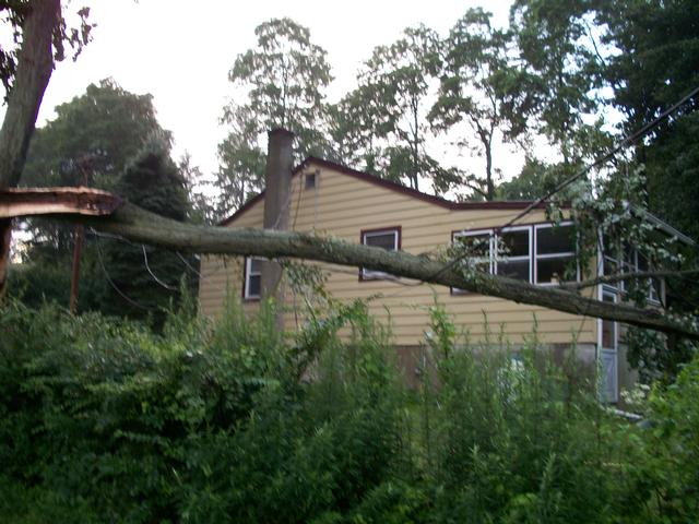 Tree Down on Wires And House In July, 2009